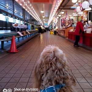 Meet your Posher, Scott